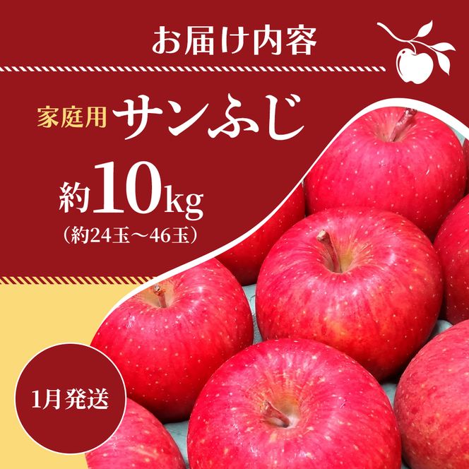 1月発送 家庭用 サンふじ 約10kg【訳あり】【原正りんご 青森県産 津軽産 リンゴ 林檎】 果物類 希少 葉取らず 完熟 安心 丸かじり 甘い 高糖度 