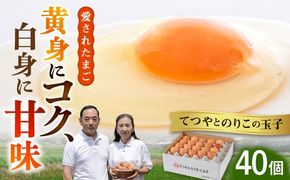 【年内発送】てつやとのりこの玉子 【 40個 】 糸島市 / 板垣ファーム 卵 たまご 鶏卵[AWD019]