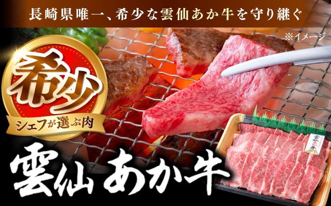【希少】雲仙 あか牛 焼肉用 500g / 国産 長崎和牛 牛 牛肉 冷凍 / 南島原市 / 株式会社高田牧場[SGQ007]