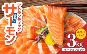 G3554-1 【スピード発送】アトランティックサーモン 3kg【小分け ポーション 柵切り 刺身 魚介 海鮮 さーもん 生食 訳あり サイズ不揃い】
