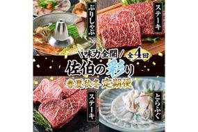 ＜先行予約受付中！2027年1月中旬より配送開始予定＞＜定期便・全4回＞味力全開！佐伯の彩り 春夏秋冬 定期便(該当月にお届け) 期間限定 鰤 ブリ ステーキ モモ とらふぐ 刺身 ふぐ 鍋 セット【BR115】【佐伯市ふるさと納税事業者協議会】