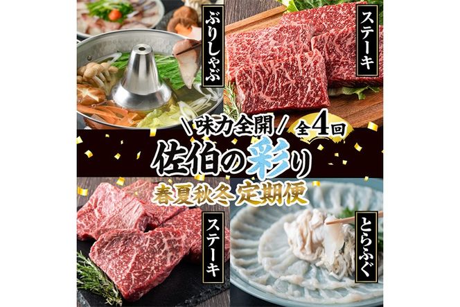 ＜先行予約受付中！2027年1月中旬より配送開始予定＞＜定期便・全4回＞味力全開！佐伯の彩り 春夏秋冬 定期便(該当月にお届け) 期間限定 鰤 ブリ ステーキ モモ とらふぐ 刺身 ふぐ 鍋 セット【BR115】【佐伯市ふるさと納税事業者協議会】
