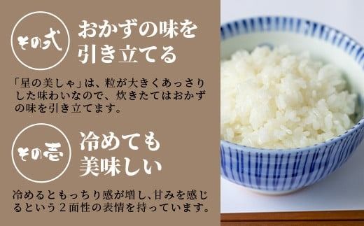 【定期便６回】6ヶ月連続お届け 石垣島産 星の美しゃ（ほしのかいしゃ）30kg（5kg×6回）【 日本一早い新米の産地 ふるさと納税 沖縄県 石垣市 石垣島 米 星 星の美しゃ】MK-7