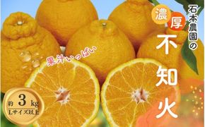 みかん 不知火 Lサイズ以上 石本農園の不知火3kg【3月初旬から下旬までに順次発送】 / みかん ミカン 蜜柑 不知火 デコポン【mis011A】