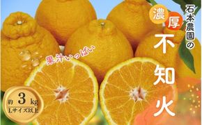 Lサイズ以上 石本農園の不知火3kg【3月初旬から下旬までに順次発送】 / みかん ミカン 蜜柑 不知火 デコポン【mis011A】