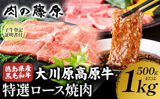 y߉͓z쌴 I[X ē 1kg Ⓚ ̓s30ȓɏoח\(yj)ta  쌴  ē [X ґ o[xL[ BBQ Lv Mtg   ߉͓---sanagouchi_nfw_16_1kg---