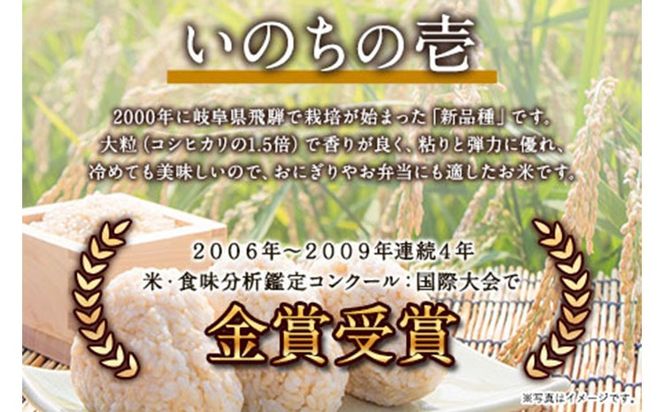 新米 令和6年産 特別栽培米 いのちの壱(玄米)10kg×1 雑穀米付き《30日以内に出荷予定(土日祝を除く)》 熊本県 南阿蘇村 熊本県産 虹色のかば 雑穀米---sms_inci6_30d_24_22000_g10kg---