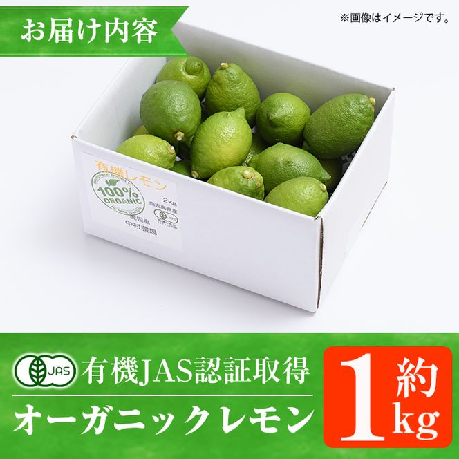 数量限定！有機JAS オーガニックレモン(約1kg) 国産 レモン 檸檬 果実 果物 フルーツ 柑橘 デザート 期間限定 有機栽培 健康志向 【中村農場】akn084-11