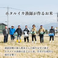 【訳あり】ほたるいか米（無洗米20kg）×12回 計240kg【12ヶ月定期便】