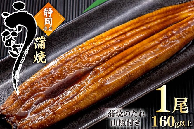 うなぎ 国産 蒲焼 約160g 1尾 [駿河淡水 静岡県 吉田町 22424770] タレ山椒付き 真空パック 個包装 静岡県産 静岡 鰻 ウナギ 蒲焼き