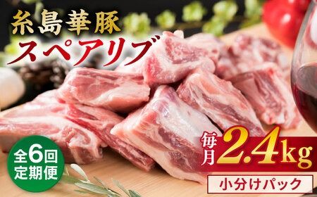 【全6回定期便】【 バーベキュー ・ 煮込み用 】約2.4kg 糸島華豚 スペアリブ 糸島市 / 糸島ミートデリ工房 [ACA333]