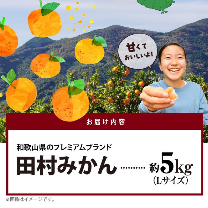 AB7305_ 【2026年先行予約】プレミアムブランド 田村みかん Lサイズ 秀品  約5kg 和歌山県産 蜜柑 ミカン フルーツ 果物 ギフト お歳暮 完熟