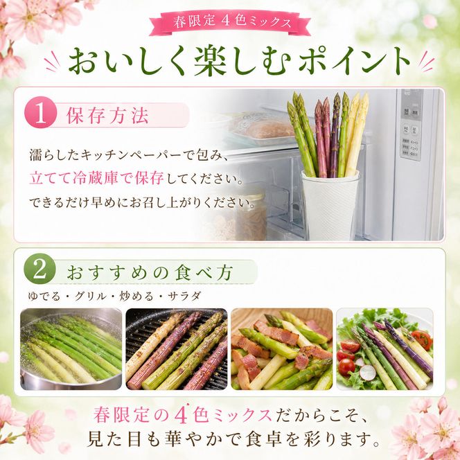 【先行予約】春限定 ひとめぼれアスパラガス 1kg 4色 食べ比べ グリーン パープル ピンク ホワイト 産地直送 農家直送 野菜 新鮮 旬 アスパラ 春野菜 サラダ カラフル バーベキュー BBQ おすそ分け ファミリー 大容量 ギフト 送料無料
