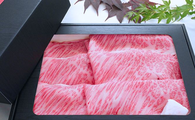 【飛騨牛】海津市産ロースしゃぶしゃぶすき焼き用スライス 【配達不可：離島】 お肉 牛肉 国産 岐阜県産 ブランド牛 柔らかい サシ 霜降り とろける 甘い脂 旨味 肉じゃが 炒め物 