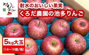 【射水のおいしい果実】【林檎】くろだ農園の池多りんご 5kg大玉（14～16個／箱） ※離島・沖縄県への配送不可 ※2025年11月下旬～2026年1月中旬頃に順次発送予定