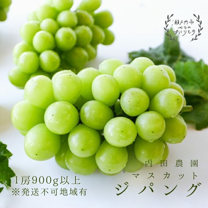 マスカット・ジパング 1房（900g以上）内田農園 岡山県 瀬戸内市 邑久町産 葡萄 ぶどう 2026年【配達不可：北海道・沖縄・離島】 果物類 フルーツ オリジナル 種なし 皮ごと