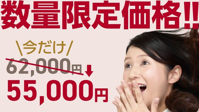 ＼ 数量限定価格！ ／ LAViNO エアーループ packable fan ラビーノ 扇風機 サーキュレーター 暑さ対策 冷風 涼しい 折りたたみ 夏 家電 BL DCモーター コードレス 静音 軽量 収納可 [EV29-NT]