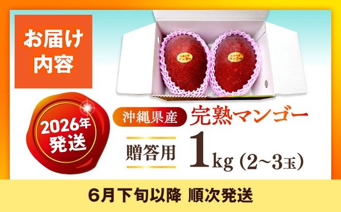【優秀賞受賞】沖縄県産 完熟マンゴー 贈答用 1kg (2〜3玉) マンゴー 沖縄 果物 フルーツ ギフト 沖縄市 / MAIFARM[BCAN001]