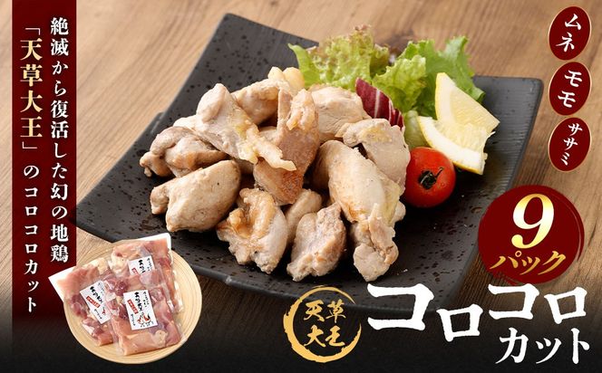 yF{VszV剤 RRJbg 9Zbg 200g×9pbN v1800g {   n{  Jbg Y BY F{Y Ⓚ