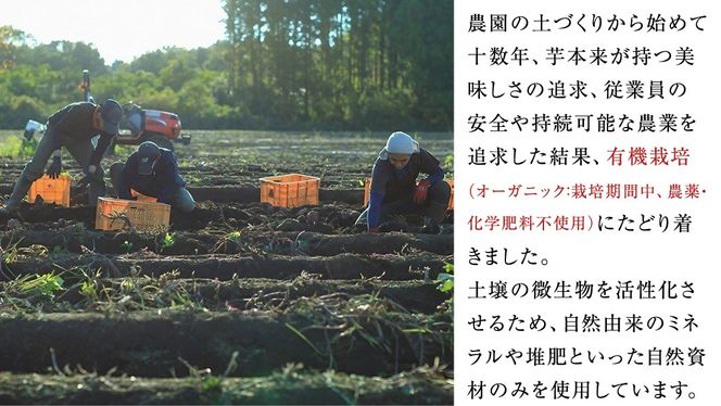 干し芋 紅はるか 丸干し 照沼Quality 150g×4袋 セット つくばみらい さつまいも 訳あり シロタ 干し芋 丸干し いも 照沼 食物繊維 農薬不使用 化学肥料不使用 不使用 [DY05-NT]