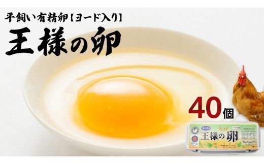 王様の卵 ヨード入 40個 (35個+割れ保障5個 ) 平飼い 地鶏 有精卵 濃厚 卵 こだわり卵 たまご [AU004us]
