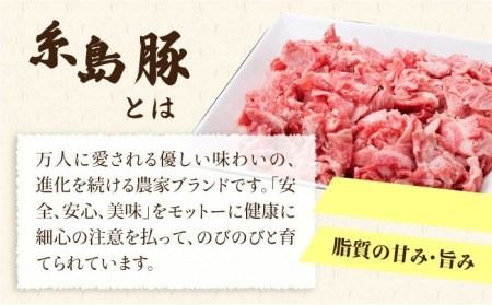 【全6回定期便】毎日のメインのおかずを彩る精肉セット 1,050g 2～3人前 4種《糸島》【糸島ミートデリ工房】 [ACA202]