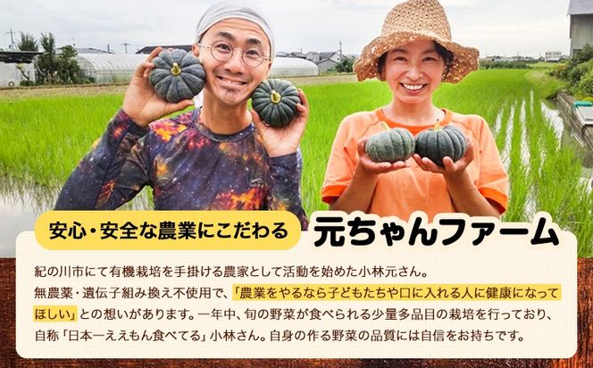 玄米ポンポン 元ちゃんファーム《90日以内に出荷予定(土日祝除く)》 和歌山県 紀の川市 玄米 菓子 送料無料---wsk_gncgmpp_90d_22_14000_300g---