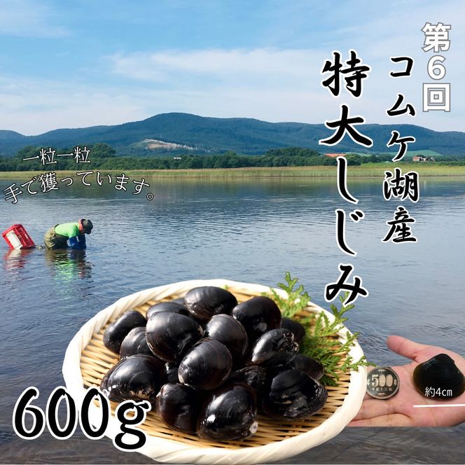 500-10 【北海道】紋別漁師より贅沢海鮮定期便　全8回｜ かに　ずわいがに　毛がに　たらばがに　三大がに　うに　いくら　海鮮　お惣菜　北海道　鮭山漬　荒巻鮭　グルメ