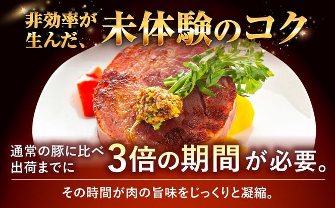 『NUCHIBUTA Cセット』 豚肉 ポークステーキ ハンバーグ ソーセージ ベーコン ハム 詰め合わせ お取り寄せ 国産 ギフト 冷凍 沖縄市 / DELICATESSEN NUCHIBUTA [BCAR005]