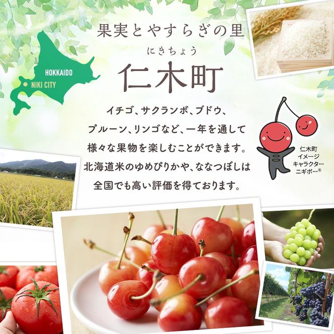 [2026年発送] 北海道 仁木町産 ミニトマト キャロルスター 1.6kg （64粒～100粒）トマト 野菜 国産 プチトマト 甘み 使いやすい サラダ お弁当 家庭用 子供に人気 リコピン [REDA FARM]