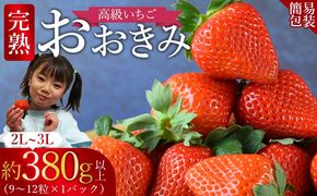 ＜高級いちご 「おおきみ」（9～12粒×1パック約380g以上）簡易包装＞2025年1月上旬から4月末迄に順次出荷【 いちご イチゴ 苺 先行予約 甘い 大きい 果物 フルーツ 季節物 】【b0856_sn】