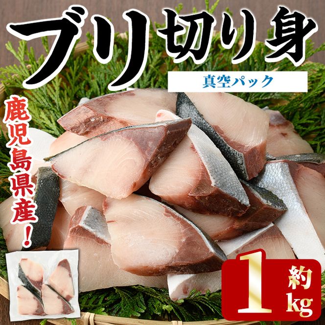 ブリの切り身(真空パック・約1kg) 国産 鹿児島県産 ブリ 鰤 魚貝 魚介 海産物 焼き魚 煮つけ ブリカツ 真空 【株式会社島水】akn102-03