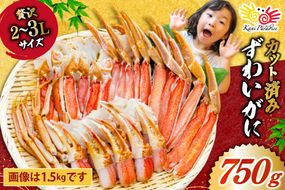 カット済 生 ずわいがに むき身 セット 総重量 750g (正味重量600g) 2-3Lサイズ [カネダイ 宮城県 気仙沼市 20565652] かに カニ ズワイガニ ずわい ズワイ 蟹 棒肉 ポーション かに鍋 かにしゃぶ 生ずわい