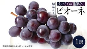 【 桐箱入り 】ピオーネ（ ぶどう ） 1房 【2026年8月から発送開始】（茨城県共通返礼品 [ぶどう]：結城市産）  ぶどう ピオーネ 果物 フルーツ 季節 旬 [BI393-NT]