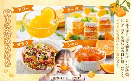 はまさき 約2.5kg 化粧箱入り