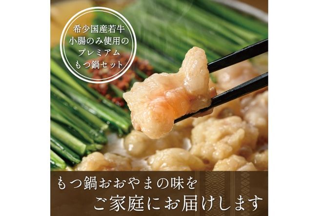 もつ鍋 6回 定期便 おおやま 博多もつ鍋 しょうゆ味 3人前 総計18人前 [ラブ 福岡県 筑紫野市 21760983] もつ鍋セット モツ鍋 もつ鍋おおやま 醤油 しょうゆ