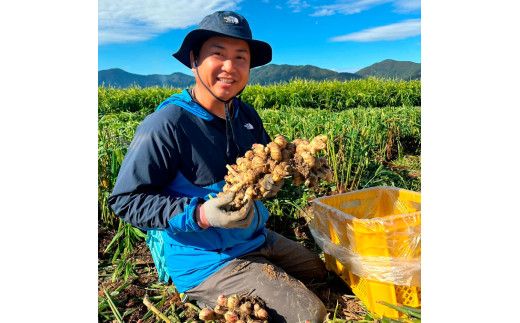 健康長寿の秘訣 大地の土付き生姜3kg 〈2026年11月中旬～2027年7月下旬発送〉国産 生ショウガ しょうが ショウガ ジンジャー ジンジャーエール ショウガシロップ 生姜焼き 薬味 野菜 料理 健康 生姜湯 新鮮 高知県 土佐市【やの一果彩】[BQAC041]