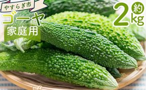 【2025年10月以降順次発送】ゴーヤ ２ｋｇ 家庭用 yr-0074