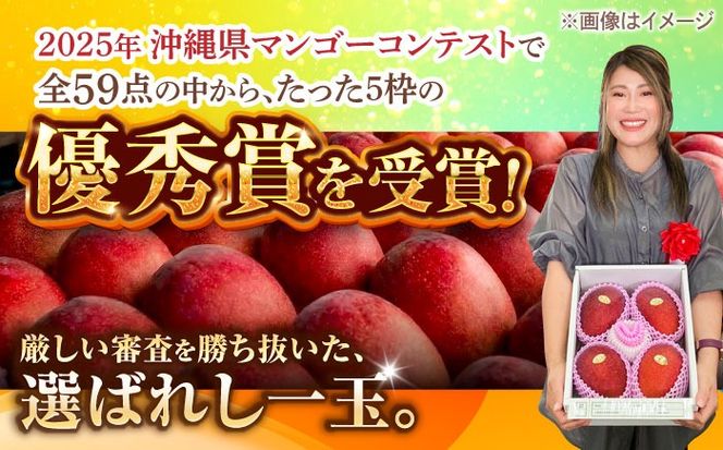 【最優秀賞受賞】沖縄県産 完熟マンゴー 大玉 2個入り マンゴー 沖縄 果物 フルーツ ギフト 沖縄市 / MAIFARM[BCAN006]