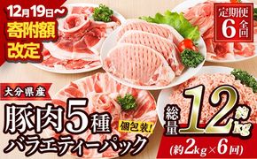 ＜定期便・全6回 (連続)＞ 豚肉 バラエティーパック (総量12kg・5種) 豚バラ しゃぶしゃぶ 鍋 とんかつ ロース 小分け 個包装 豚こま 小間切れ スライス ミンチ セット 詰め合わせ 冷凍 食べ比べ 国産 大分県 佐伯市【BD322】【西日本畜産】