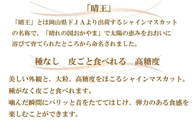 ぶどう 2026年 先行予約 シャイン マスカット 晴王 3房～6房 約2kg 8月下旬～11月下旬発送 ブドウ 葡萄 岡山県産 国産 フルーツ 果物 ギフト 岡山の葡萄 デザート 食後