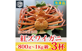 【冷凍】自社漁船直送！魚卸問屋の紅ズワイガニ 800g～1kg級×3ハイセット｜かに カニ 蟹 国産ずわい蟹 ずわいガニ 紅ズワイ蟹 紅ずわいがに 紅ずわい蟹 ボイル セットかにしゃぶ 魚貝類 魚介類 海鮮 鮮魚 新鮮 蟹飯 人気 豪華 ご褒美 贅沢 お取り寄せ グルメ カニ味噌 ※2026年9月～発送