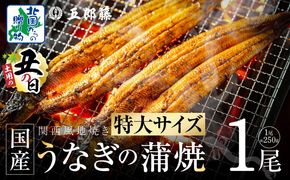 099H3443d 【7/26土用の丑の日】超ビッグサイズ！数量限定！老舗「五郎藤」 関西風地焼き 国産有頭旨鰻 250g×1尾【特大 うなぎ ウナギ 蒲焼き 炭火】