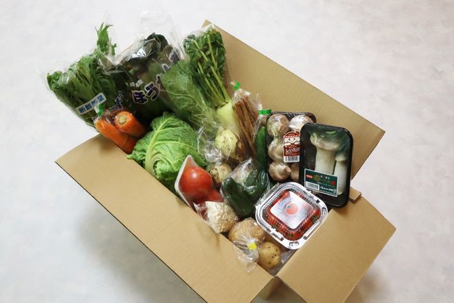 AJ435 【3回定期便】【1～3月限定出荷】こむたの旬の野菜 (13～15品目) おまかせLセット [ 野菜 やさい 旬 定期便 野菜セット 種類 人気 オススメ 新鮮 詰め合わせ 詰合せ こむた 小無田 青果 長崎県 島原市 ]