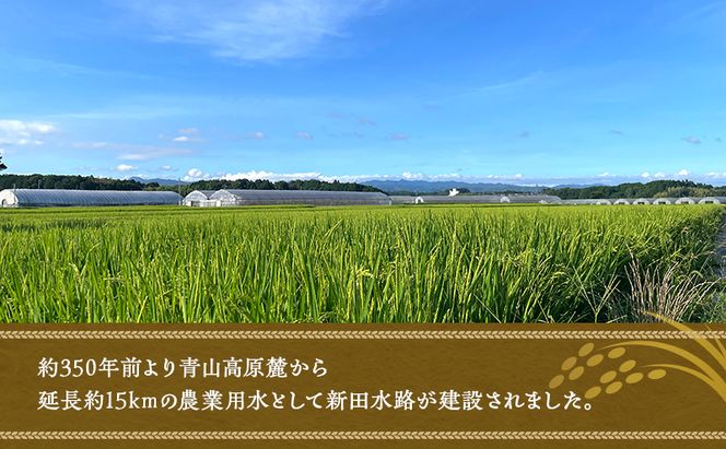陽・気候・水の三拍子揃った美旗地区より みはたM'sファーム 令和7年産 伊賀米コシヒカリ 5kg 3年連続 特A 米 こしひかり ご飯 ごはん 白米 精米 三重県 名張市