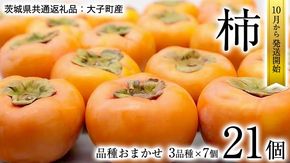 柿 3品種食べ比べ(各7個)【10月中旬より発送開始】（茨城県共通返礼品：大子町産） 果物 フルーツ 茨城県産 [BI456-NT]