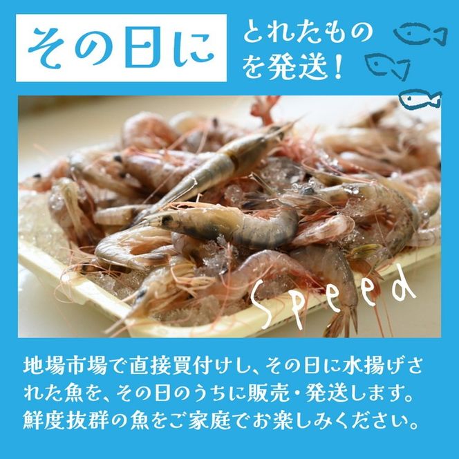 天然 はまぐり 700g | 活はまぐり 天然はまぐり 蛤 ハマグリ 伊勢湾 天然 活 冷蔵 魚介 魚貝 海鮮 貝 出汁 だし 味噌汁 酒蒸し グラタン お祝い ひなまつり 節句 おせち 贅沢 人気 おすすめ 愛知県 美浜町 ※北海道・沖縄・離島への配送不可