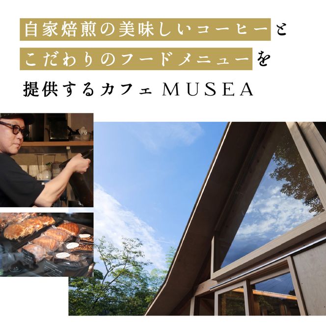 10-105自家焙煎コーヒー豆　お試しパック４種　100g×4