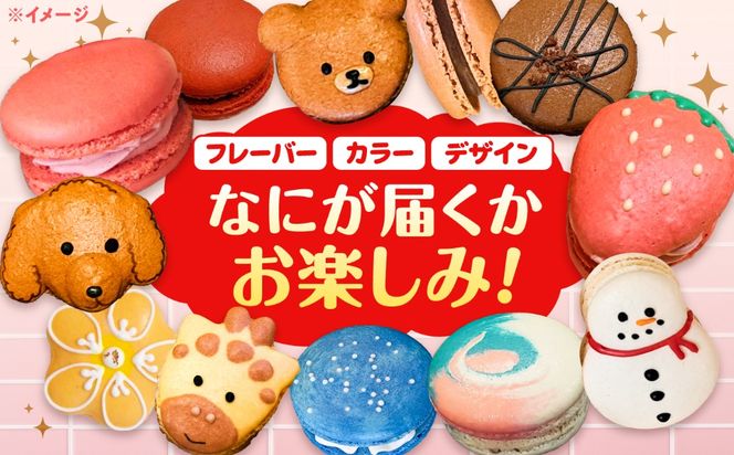 おまかせ マカロン ボックス 10個入 マカロン 焼菓子 スイーツ 愛西市 / ニコールマカロン[AEDA001]