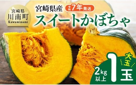 [令和7年発送]宮崎県産 スイートかぼちゃ1玉(2kg以上) [ 2025年発送 野菜 かぼちゃ 南瓜 九州産 宮崎県産 川南町産 新鮮 産地直送 ] [D03906]